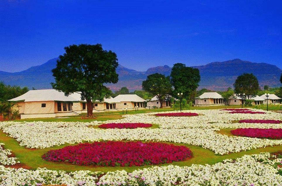 암비 밸리 시티 로나발라 외부 사진 Flower garden in the resort