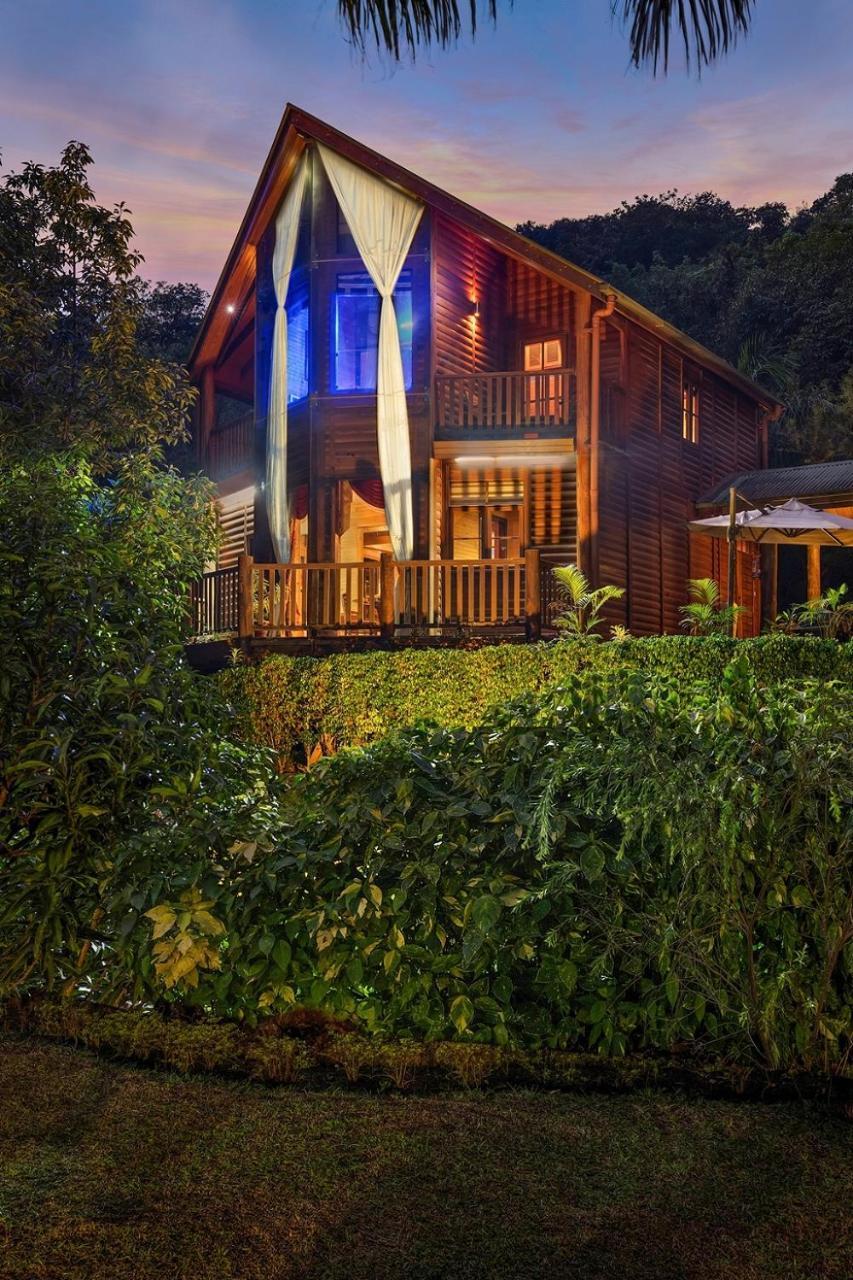 암비 밸리 시티 로나발라 외부 사진 The Treehouse at night